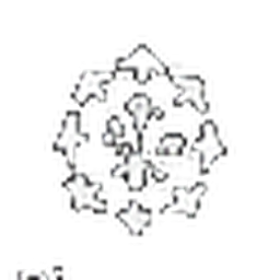 Pinecone